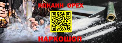 крисы Кулебаки