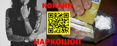 крисы Кулебаки