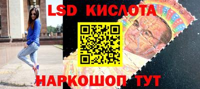 крисы Кулебаки