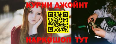 крисы Кулебаки