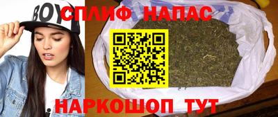 крисы Кулебаки