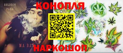 крисы Кулебаки